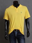 Pólo Lacoste Homme